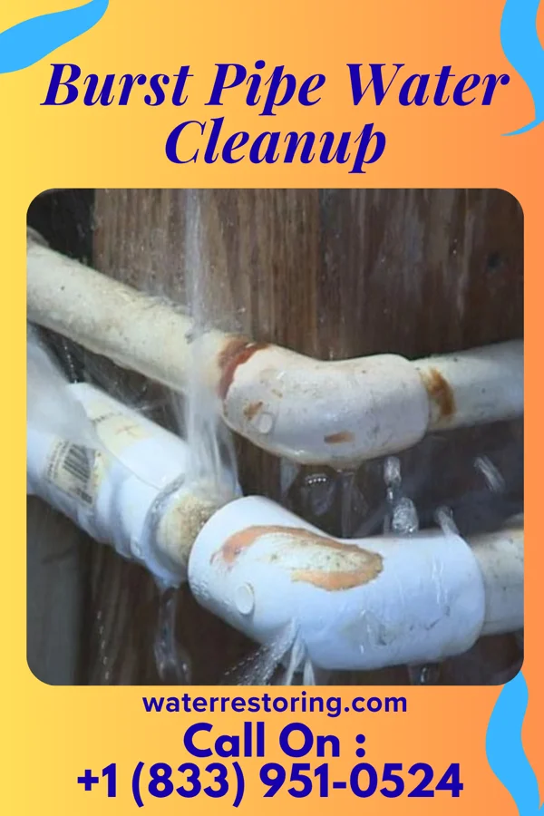 Burst Pipe Water Cleanup in L'Anse, MI