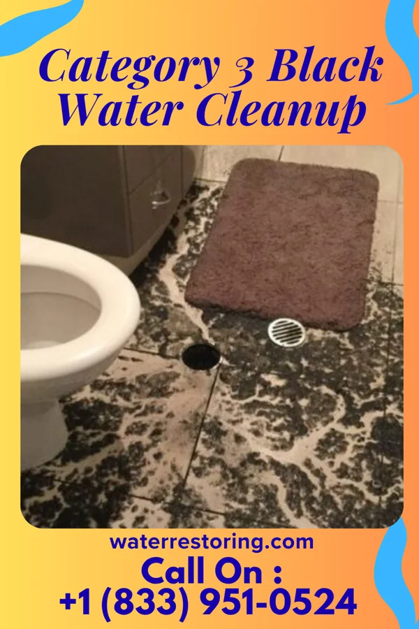 Category 3 Black Water Cleanup in L'Anse, MI