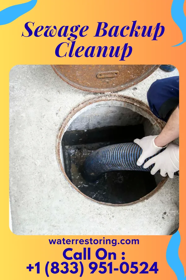 Sewage Backup Cleanup in L'Anse, MI